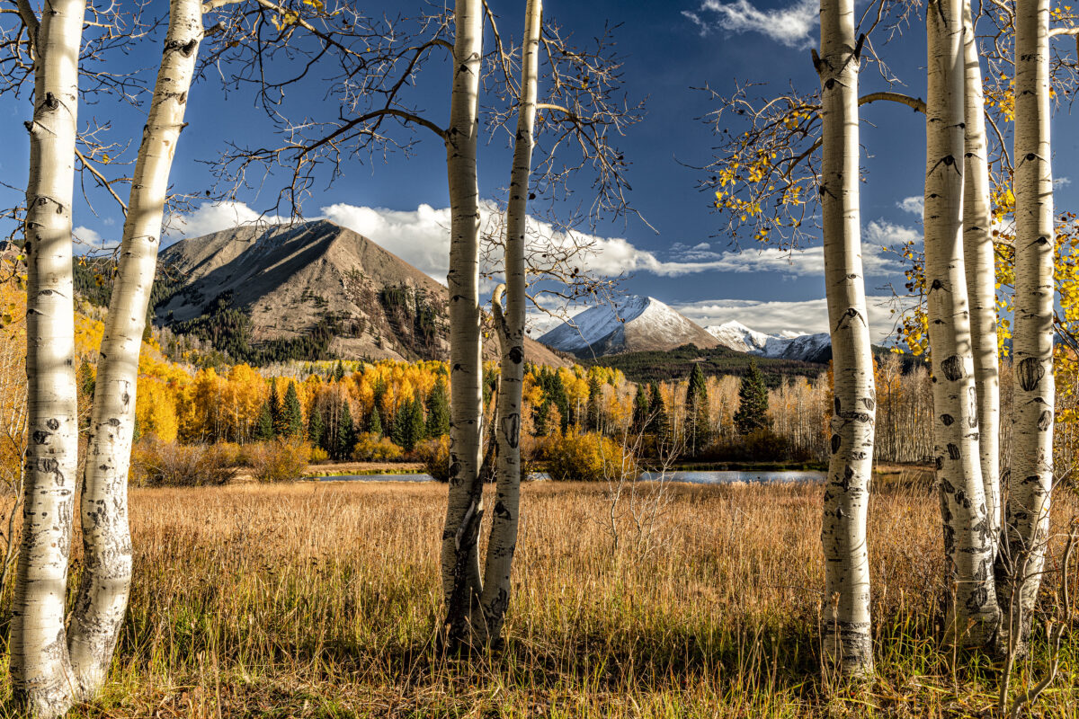 “Wilderness La Sal Mountains, Moab, Utah Howard Blichfeldt